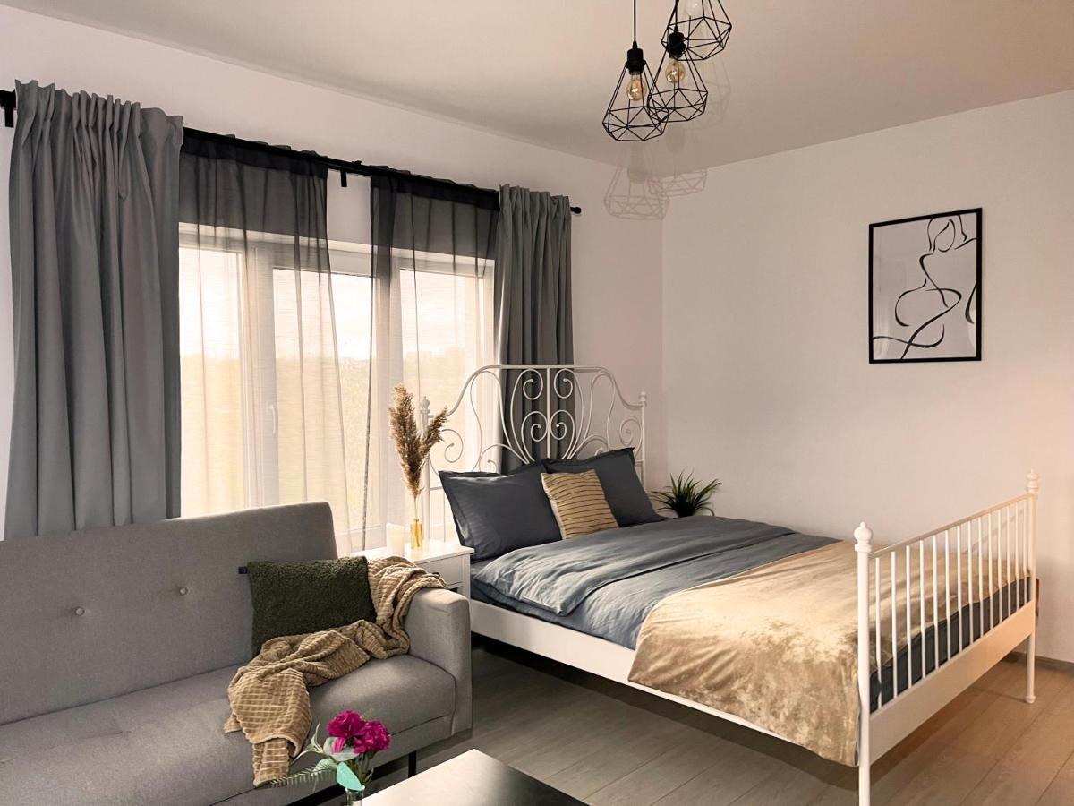 Superb Apartment 35 Voucere Vacanta Zero74Unu236Optsute 雅西 外观 照片